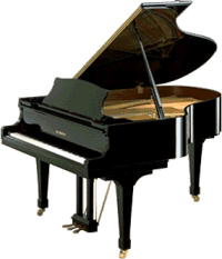 Il mio Pianoforte